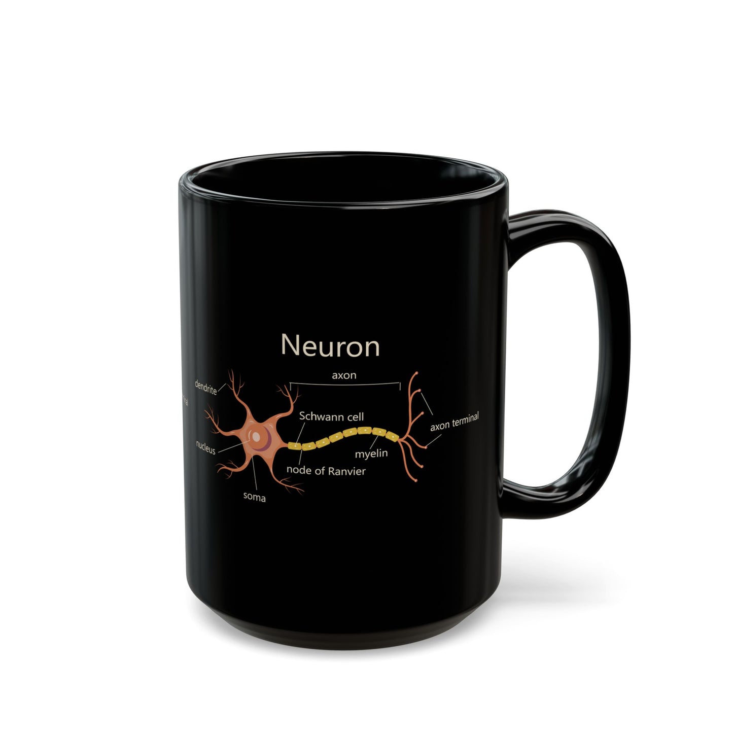 Neuron Anatomy Black Ceramic Mug (11oz, 15oz) - Nerve Cell, Axon & Myelin Orange Graphic - Perfect for Neurologists, Doctors, Nurses, Medical Professionals