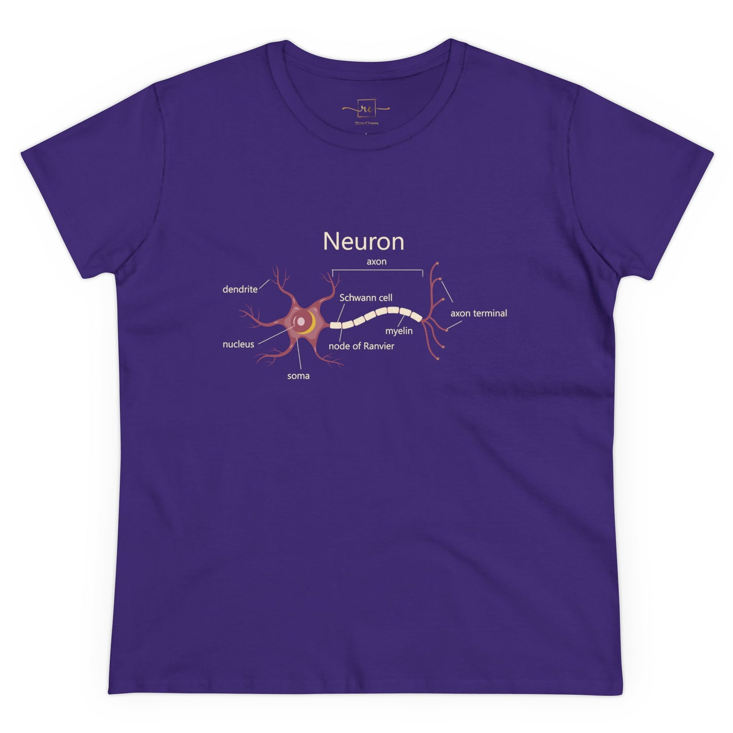 Neuron Anatomy Women's Mid-weight Cotton T-Shirt - Mauve Medical Graphic Tee Featuring Nerve Cell, Axon & Myelin - Perfect for Healthcare Professionals, Doctors, Nurses, and Medical Students