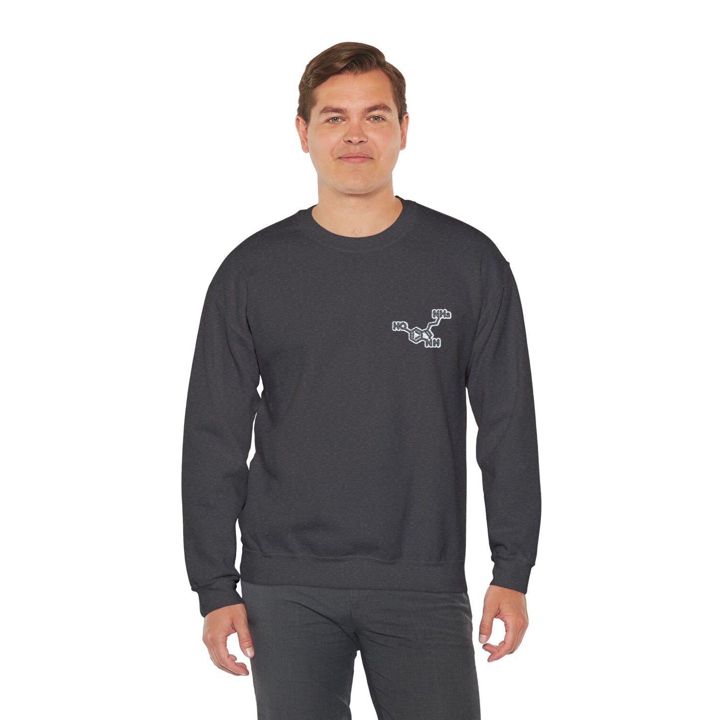 Serotonin Symbol Embroidered Sweatshirt - Unisex