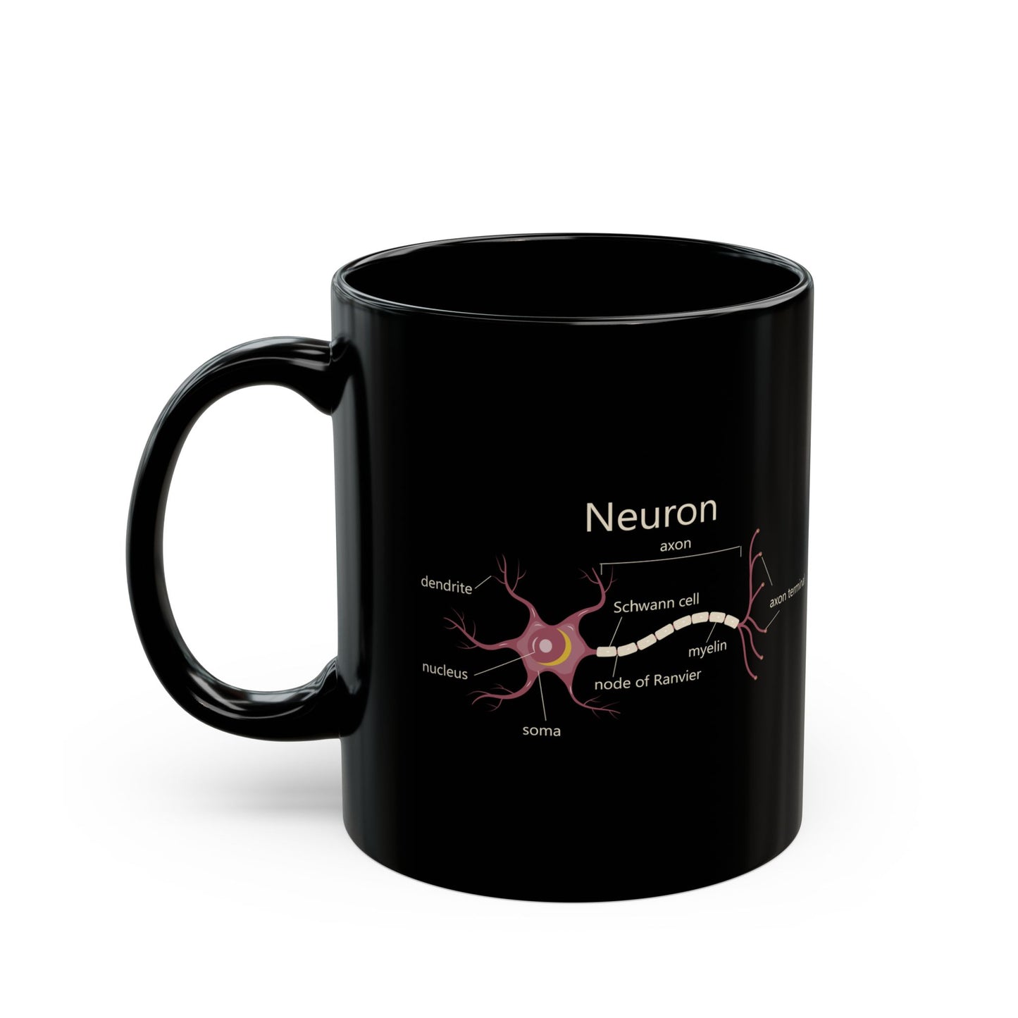 Neuron Anatomy Black Ceramic Mug (11oz, 15oz) - Nerve Cell, Axon & Myelin Sheath Mauve Diagram - Perfect for Neurologists, Doctors, Nurses, Medical Professionals