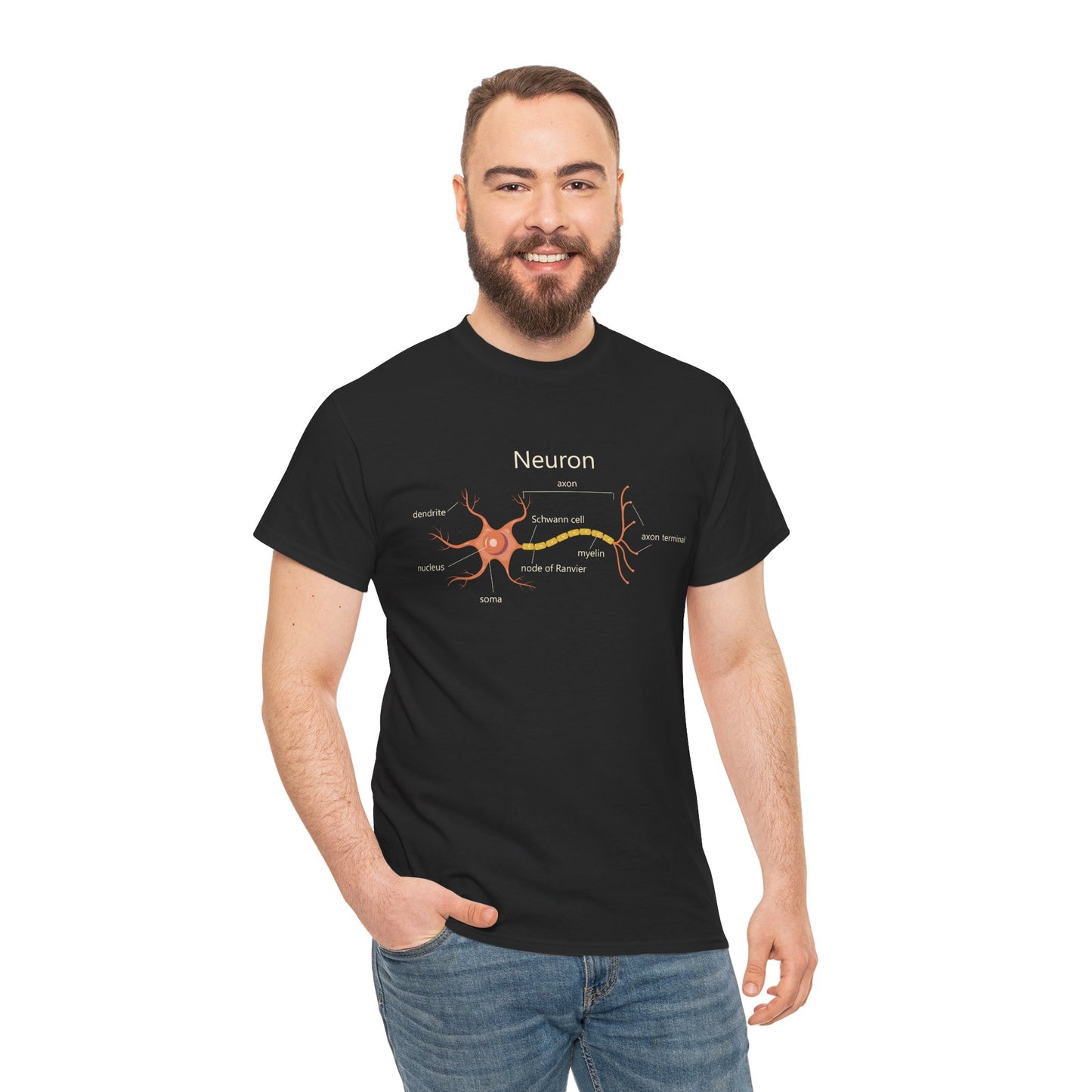 Neuron Anatomy Heavy Cotton T-Shirt - Medical Graphic Tee Featuring an Orange Nerve Cell, Axon & Myelin Sheath - Perfect for Healthcare Professionals, Doctors, Nurses, and Medical Students