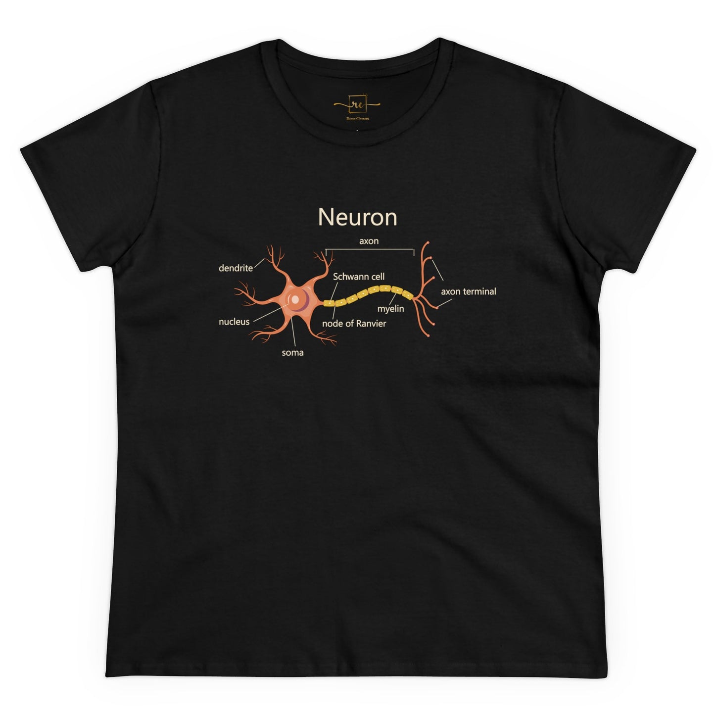 Neuron Anatomy Women's Mid-weight Cotton T-Shirt - Orange Medical Graphic Tee Featuring Nerve Cell, Axon & Myelin - Perfect for Doctors, Nurses, and Medical Students