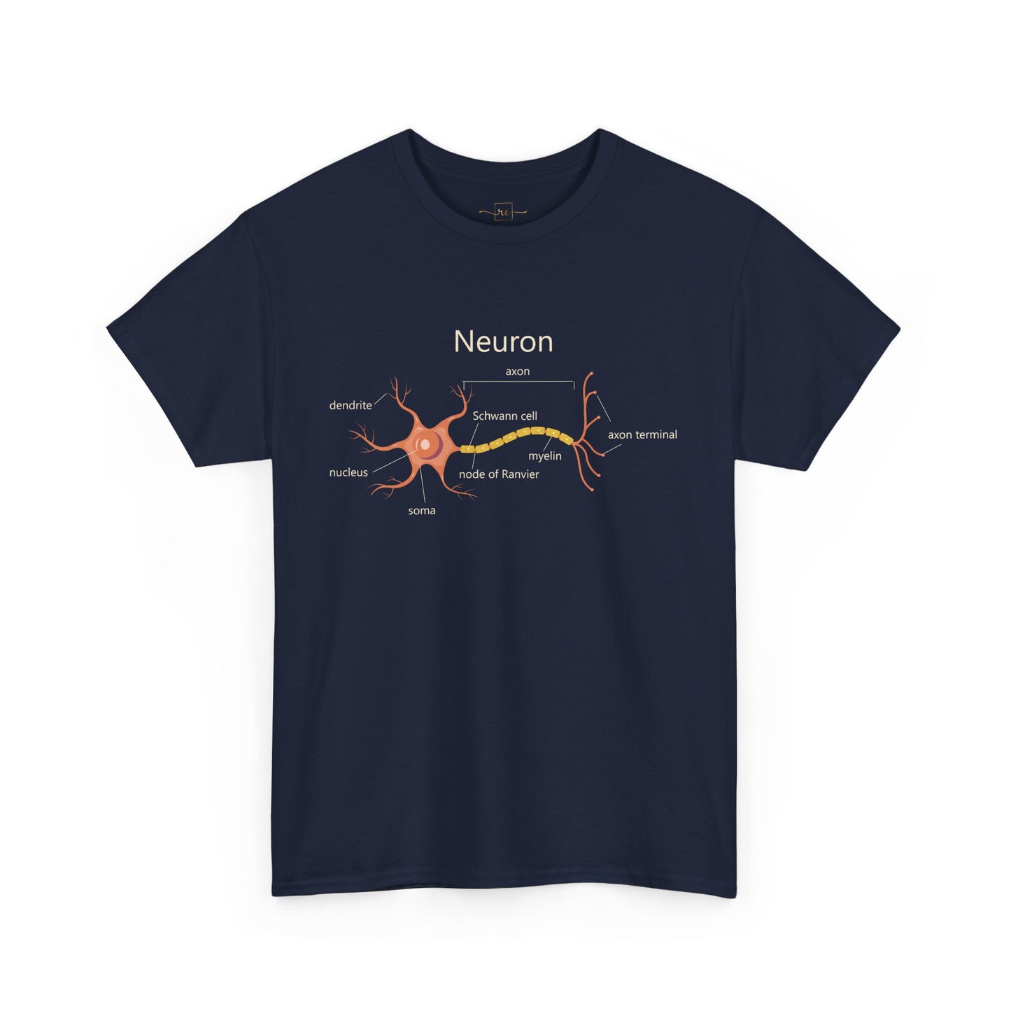 Neuron Anatomy Heavy Cotton T-Shirt - Medical Graphic Tee Featuring an Orange Nerve Cell, Axon & Myelin Sheath - Perfect for Healthcare Professionals, Doctors, Nurses, and Medical Students