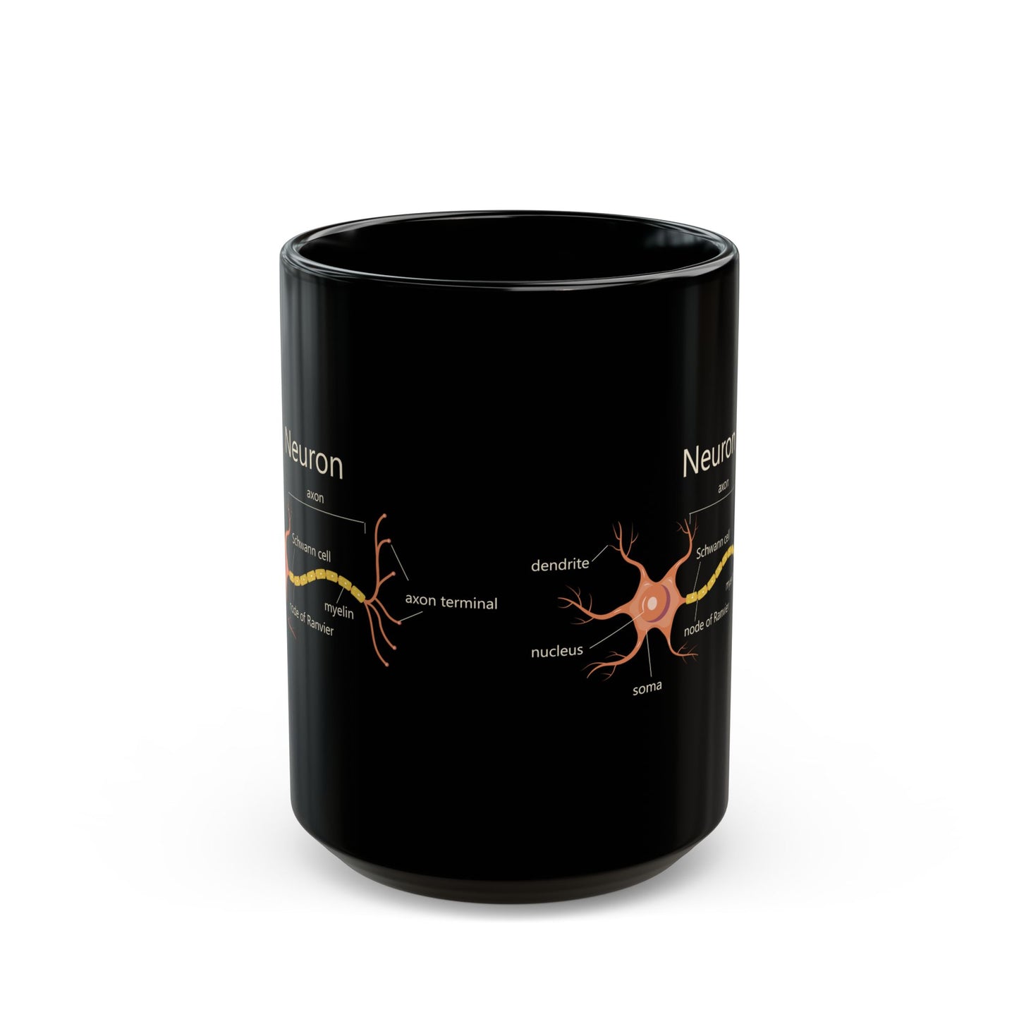 Neuron Anatomy Black Ceramic Mug (11oz, 15oz) - Nerve Cell, Axon & Myelin Orange Graphic - Perfect for Neurologists, Doctors, Nurses, Medical Professionals