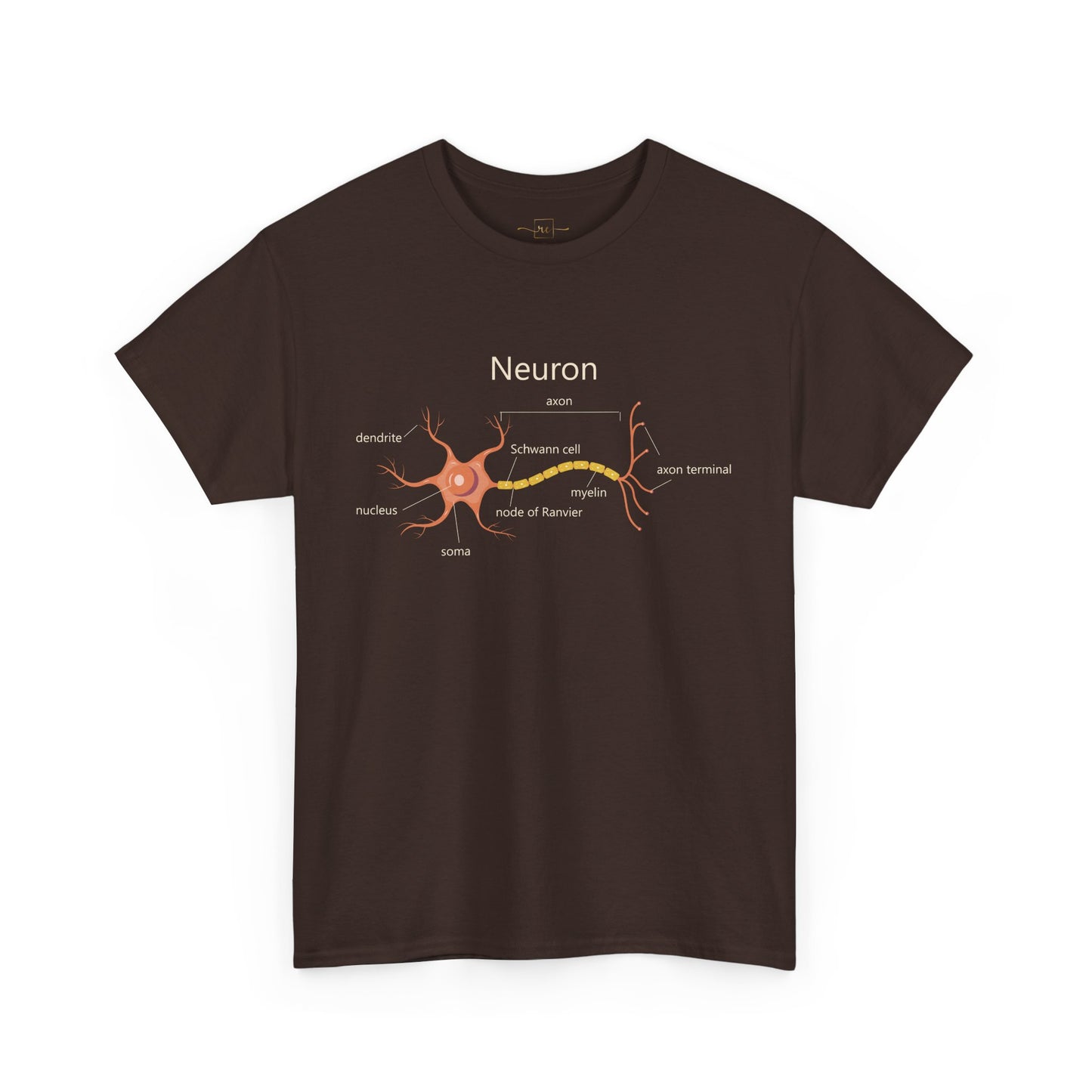 Neuron Anatomy Heavy Cotton T-Shirt - Medical Graphic Tee Featuring an Orange Nerve Cell, Axon & Myelin Sheath - Perfect for Healthcare Professionals, Doctors, Nurses, and Medical Students