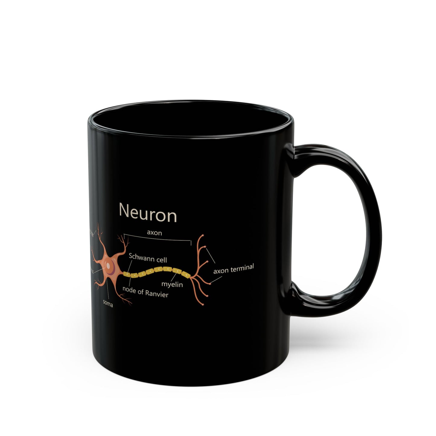 Neuron Anatomy Black Ceramic Mug (11oz, 15oz) - Nerve Cell, Axon & Myelin Orange Graphic - Perfect for Neurologists, Doctors, Nurses, Medical Professionals