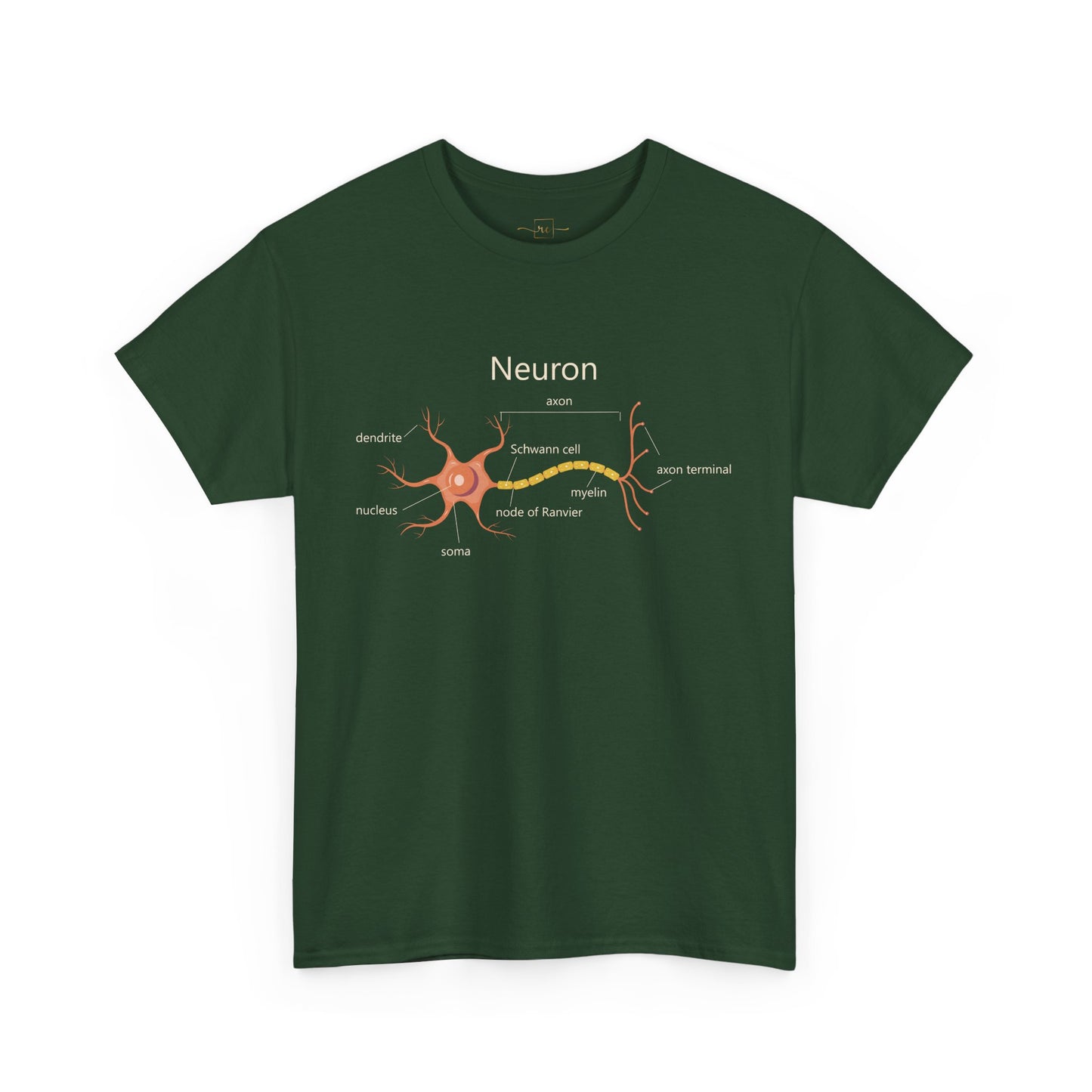 Neuron Anatomy Heavy Cotton T-Shirt - Medical Graphic Tee Featuring an Orange Nerve Cell, Axon & Myelin Sheath - Perfect for Healthcare Professionals, Doctors, Nurses, and Medical Students