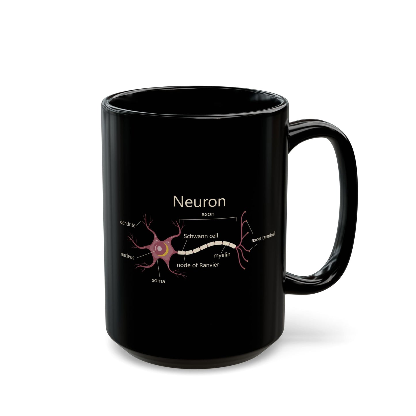 Neuron Anatomy Black Ceramic Mug (11oz, 15oz) - Nerve Cell, Axon & Myelin Sheath Mauve Diagram - Perfect for Neurologists, Doctors, Nurses, Medical Professionals