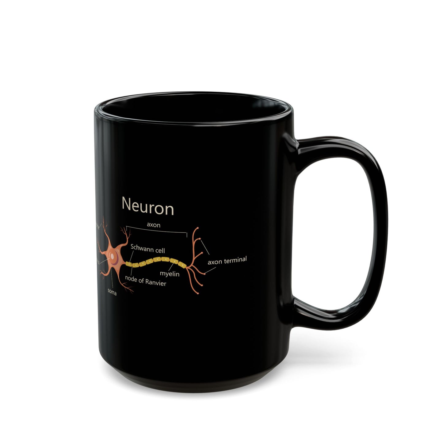Neuron Anatomy Black Ceramic Mug (11oz, 15oz) - Nerve Cell, Axon & Myelin Orange Graphic - Perfect for Neurologists, Doctors, Nurses, Medical Professionals
