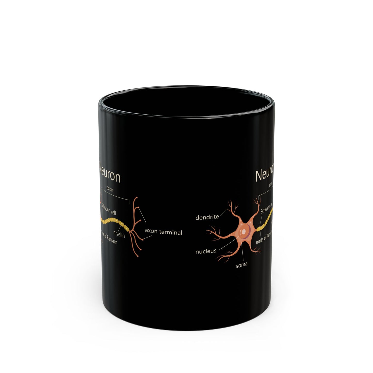 Neuron Anatomy Black Ceramic Mug (11oz, 15oz) - Nerve Cell, Axon & Myelin Orange Graphic - Perfect for Neurologists, Doctors, Nurses, Medical Professionals