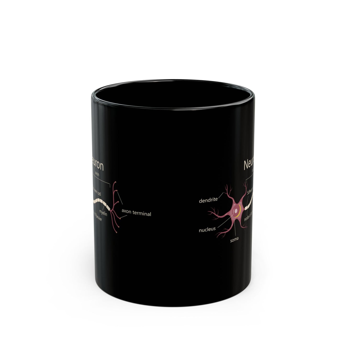 Neuron Anatomy Black Ceramic Mug (11oz, 15oz) - Nerve Cell, Axon & Myelin Sheath Mauve Diagram - Perfect for Neurologists, Doctors, Nurses, Medical Professionals