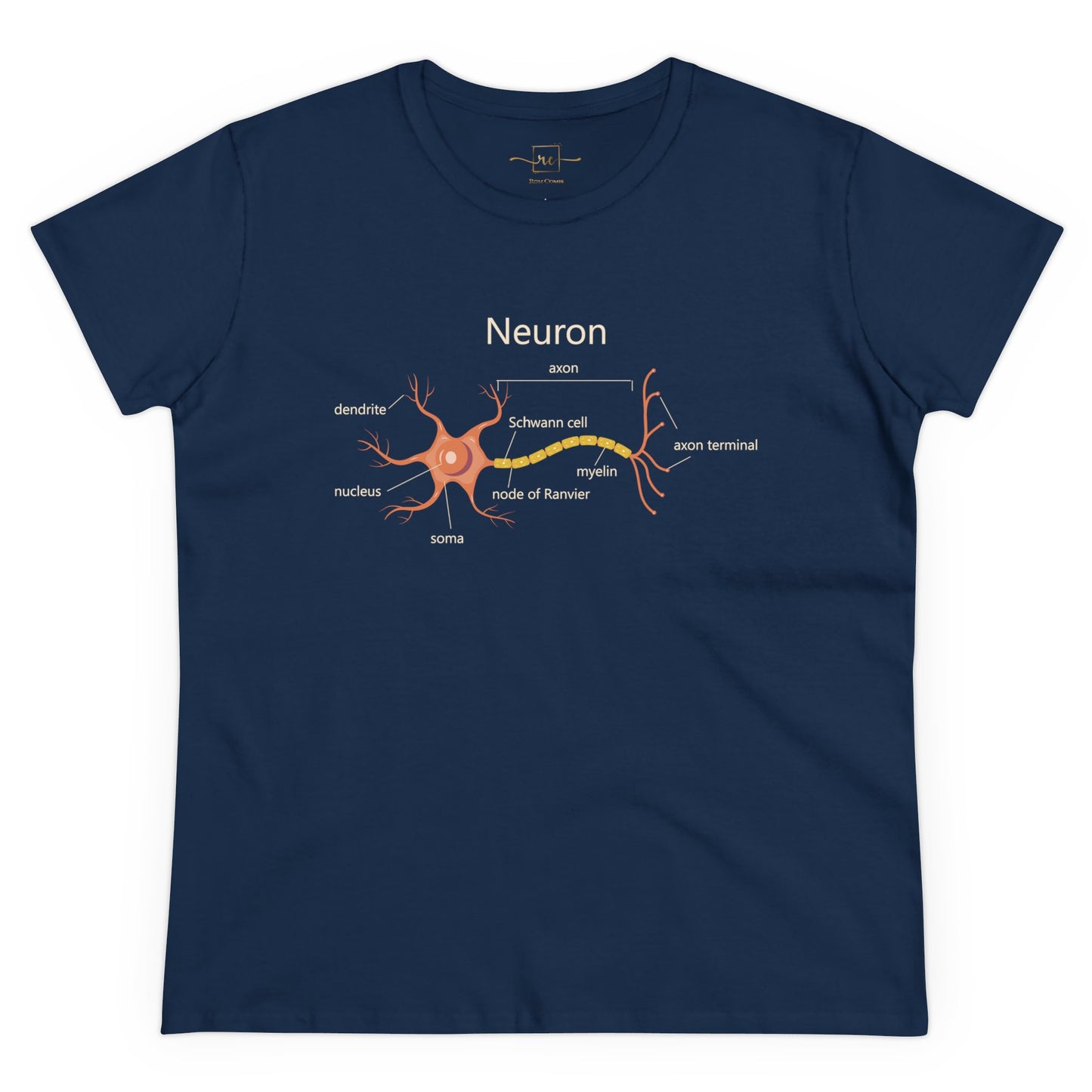 Neuron Anatomy Women's Mid-weight Cotton T-Shirt - Orange Medical Graphic Tee Featuring Nerve Cell, Axon & Myelin - Perfect for Doctors, Nurses, and Medical Students