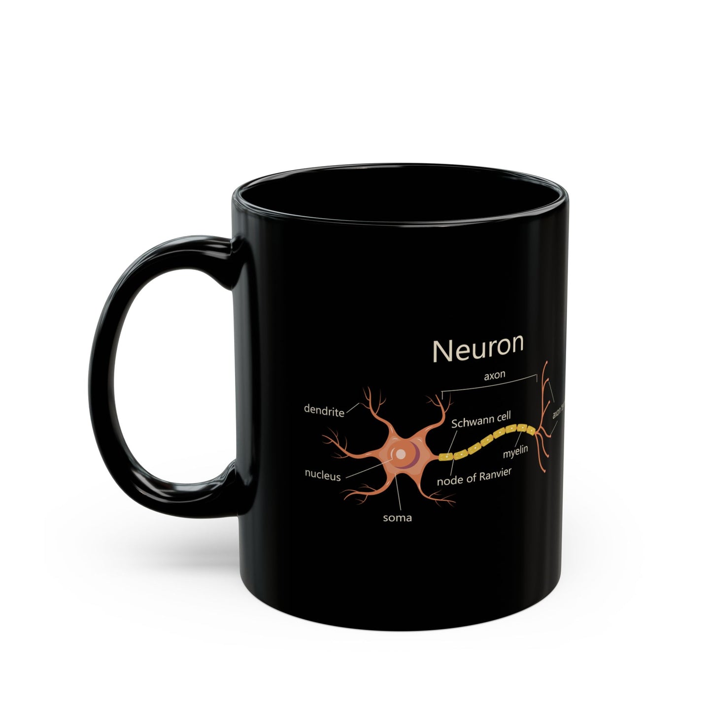Neuron Anatomy Black Ceramic Mug (11oz, 15oz) - Nerve Cell, Axon & Myelin Orange Graphic - Perfect for Neurologists, Doctors, Nurses, Medical Professionals