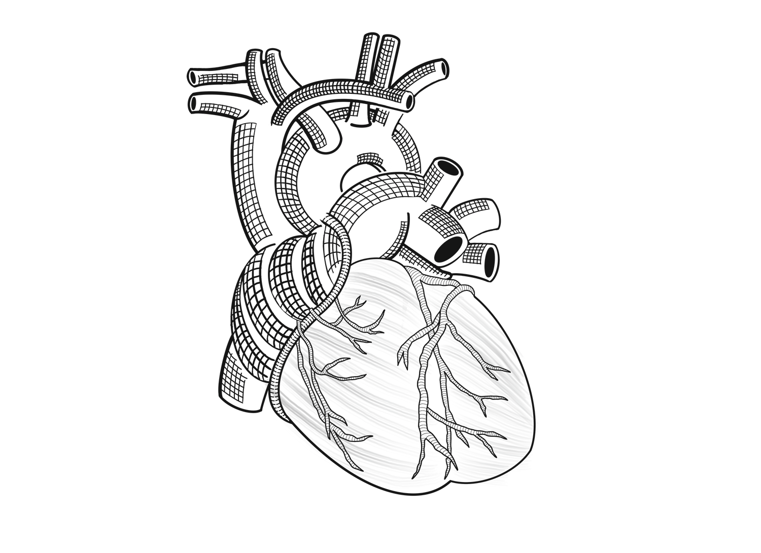 Cardiology
