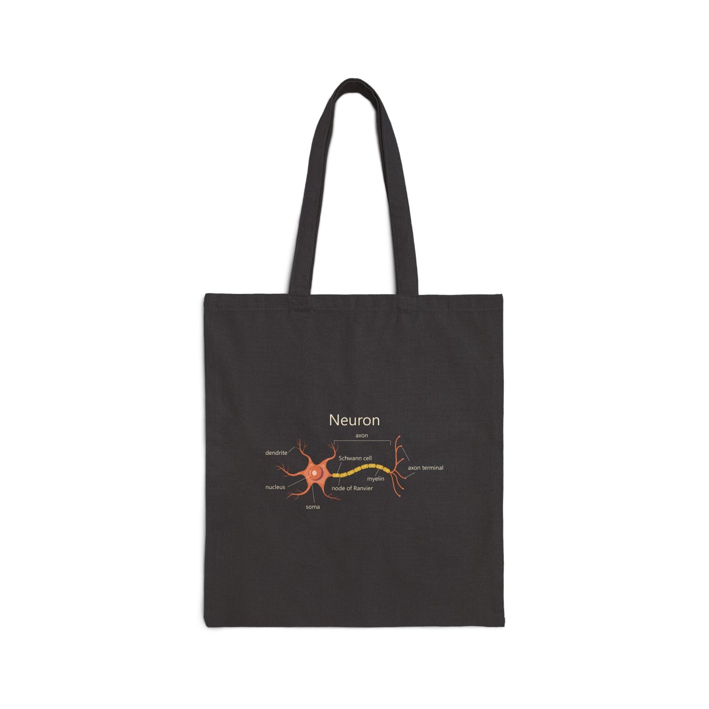 Neuron Anatomy Cotton Canvas Tote - Orange Medical Graphic Featuring Nerve Cell, Axon & Myelin - Perfect for Doctors, Nurses, and Medical Students