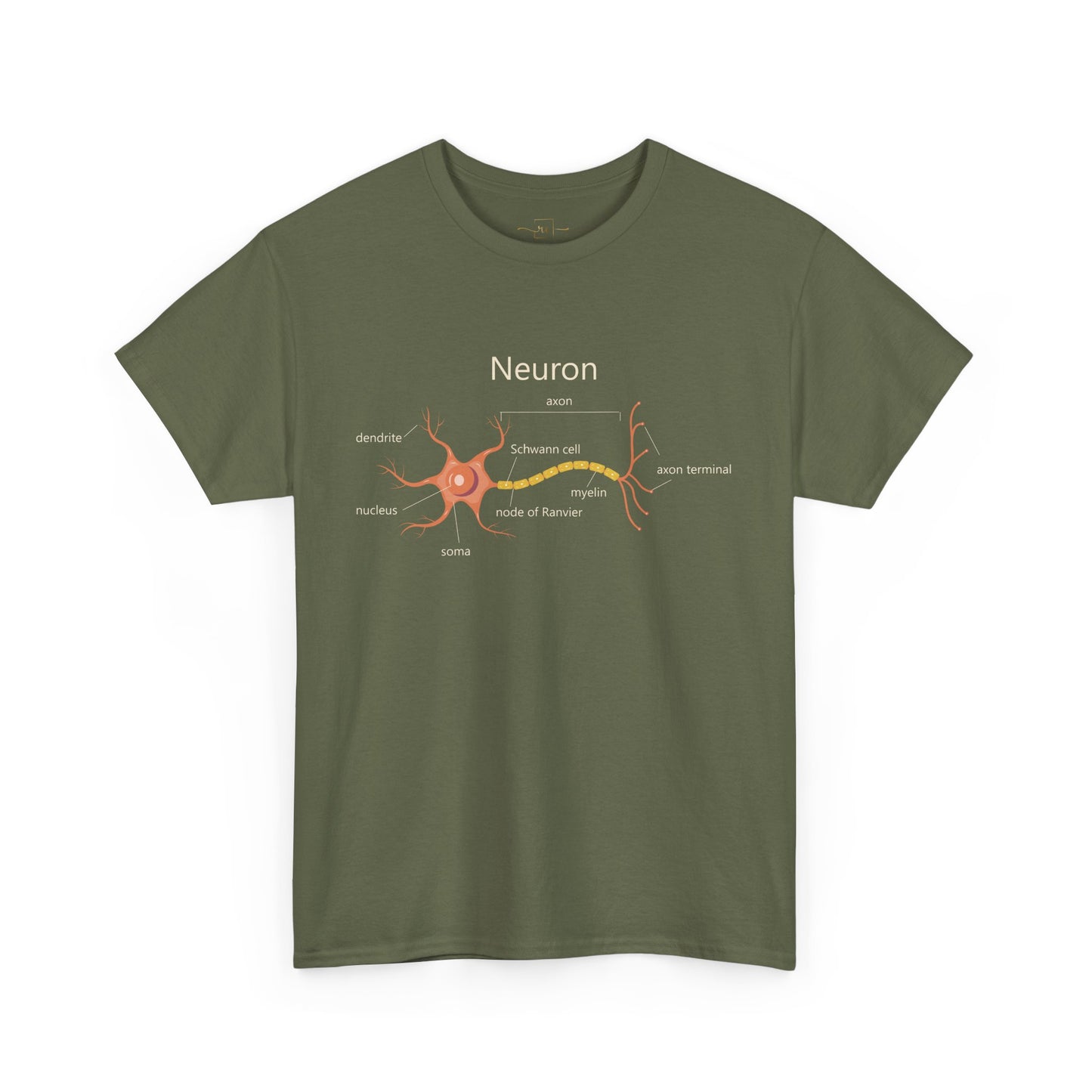 Neuron Anatomy Heavy Cotton T-Shirt - Medical Graphic Tee Featuring an Orange Nerve Cell, Axon & Myelin Sheath - Perfect for Healthcare Professionals, Doctors, Nurses, and Medical Students