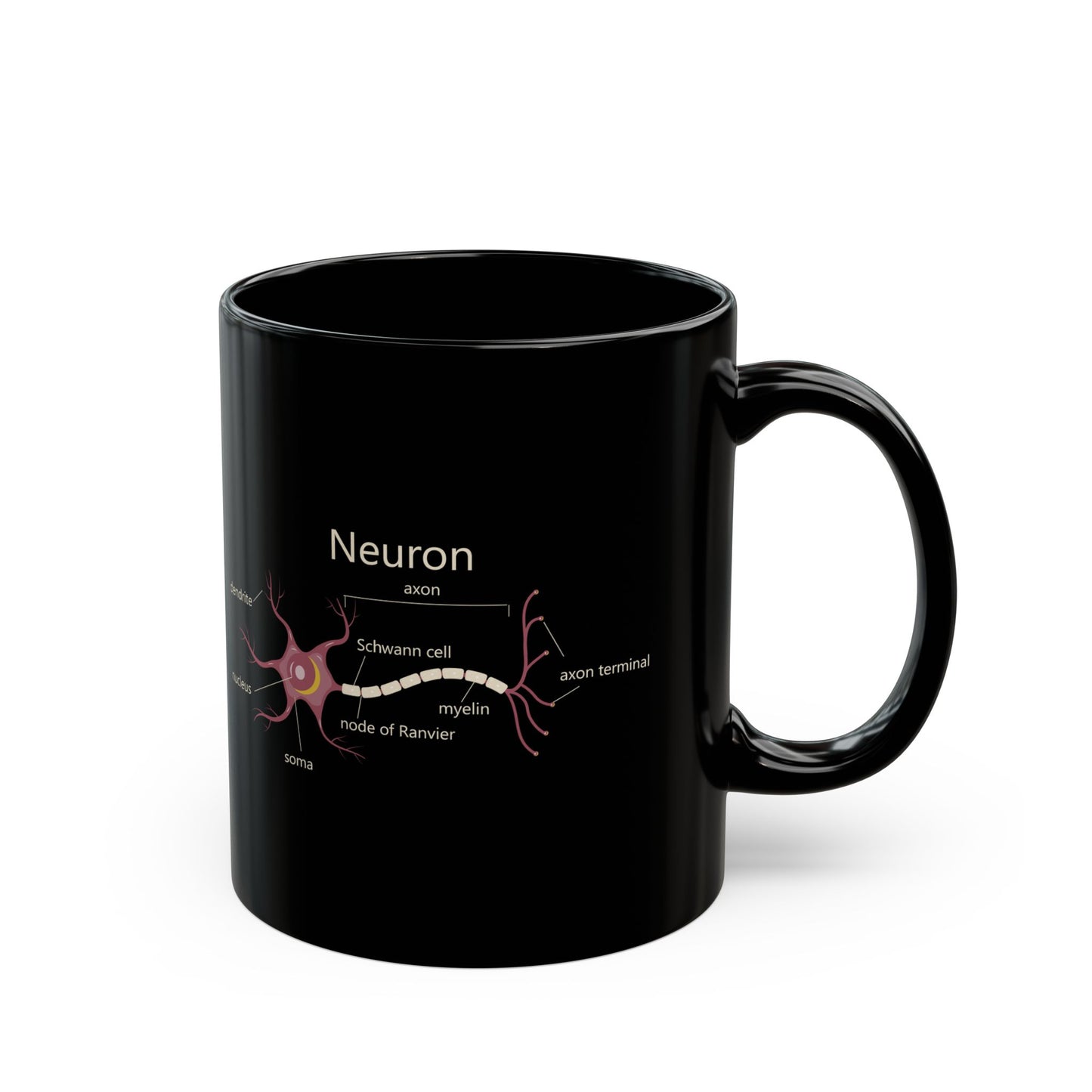Neuron Anatomy Black Ceramic Mug (11oz, 15oz) - Nerve Cell, Axon & Myelin Sheath Mauve Diagram - Perfect for Neurologists, Doctors, Nurses, Medical Professionals