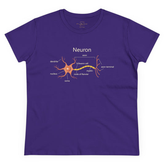 Neuron Anatomy Women's Mid-weight Cotton T-Shirt - Orange Medical Graphic Tee Featuring Nerve Cell, Axon & Myelin - Perfect for Doctors, Nurses, and Medical Students