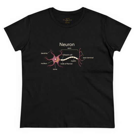 Neuron Anatomy Women's Mid-weight Cotton T-Shirt - Mauve Medical Graphic Tee Featuring Nerve Cell, Axon & Myelin - Perfect for Healthcare Professionals, Doctors, Nurses, and Medical Students