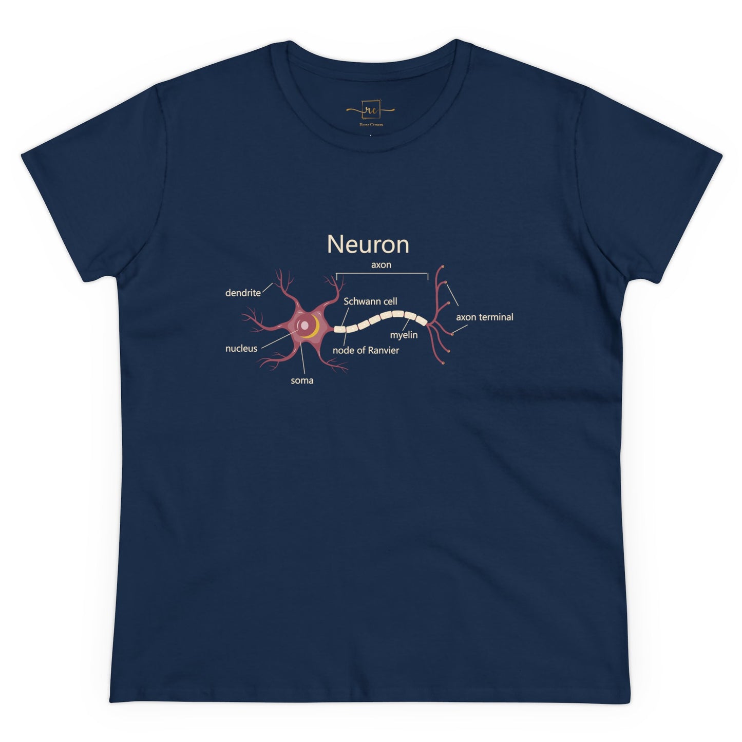 Neuron Anatomy Women's Mid-weight Cotton T-Shirt - Mauve Medical Graphic Tee Featuring Nerve Cell, Axon & Myelin - Perfect for Healthcare Professionals, Doctors, Nurses, and Medical Students
